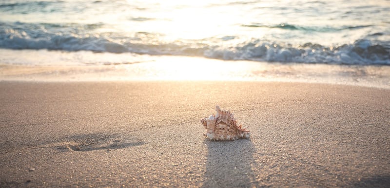 Beach Vacation